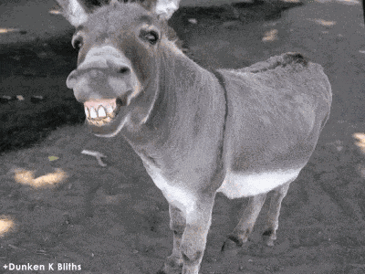 Smile Teeth GIF