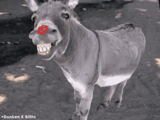 Smile Teeth GIF