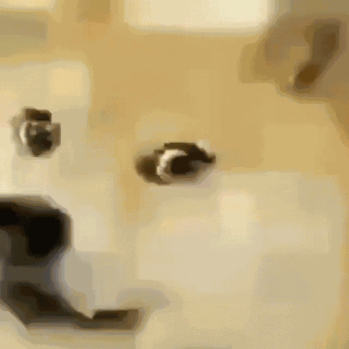 Smile Turning To Grin Doge GIF