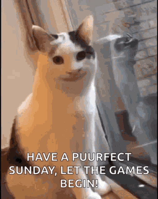 Smiling Cat Creepy Cat GIF