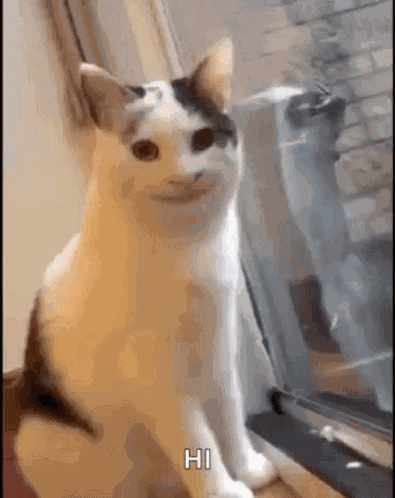 Smiling Cat Creepy Cat GIF