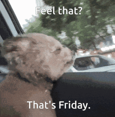Smiling Dog Abbieququ GIF