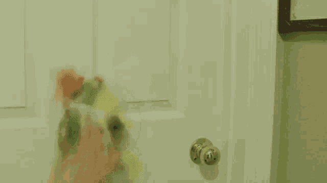 Sml Bowser Junior GIF