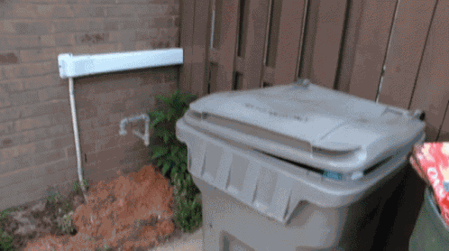 Sml Bowser Junior GIF