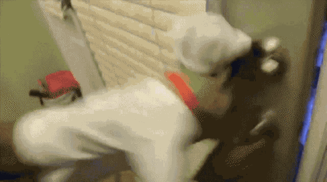 Sml Chef Pee Pee GIF