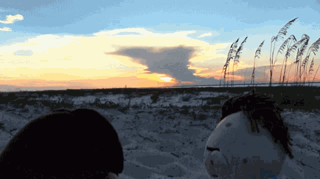 Sml Cody GIF