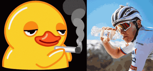 Smoking Duck Tadej GIF