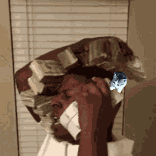 Smol Smolcat GIF