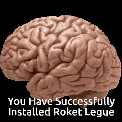 Smooth Brain Roket Legue GIF