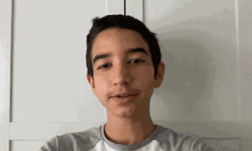 Smpte Color Bars Ntsc GIF