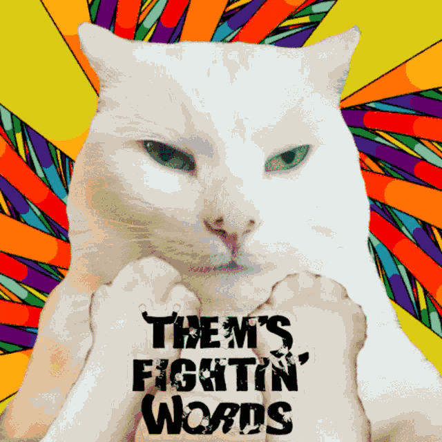 Smudge Cat Smudge Cat Thems Fighting Words GIF