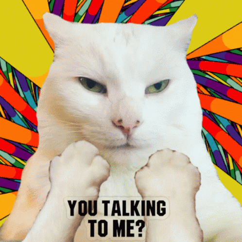 Smudge Cat Smudge Cat You Talking To Me GIF