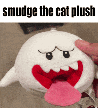 Smudge The Cat Boo GIF