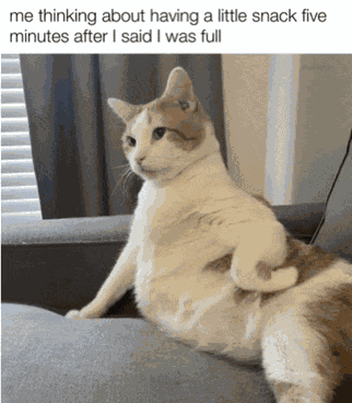 Snack Kitty Something Sweet Meme