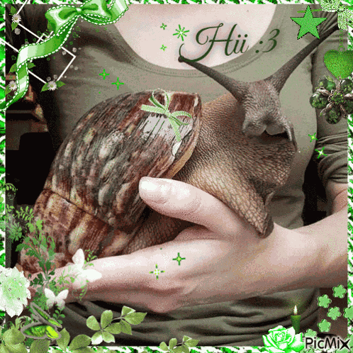 Snail Hi GIF