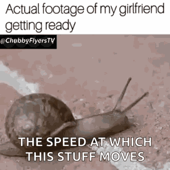 Snail Slow GIF
