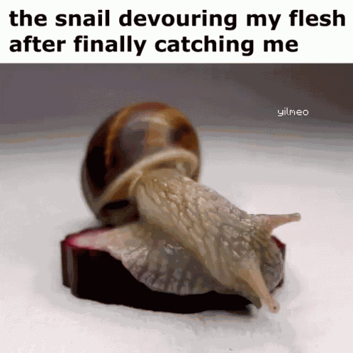 Snail GIF