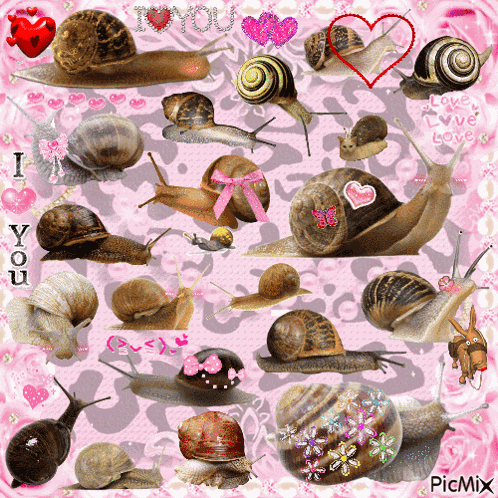 Snails Picmix GIF