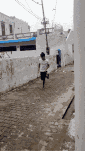 Snake Chase GIF