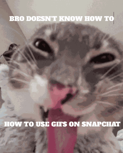 Snapchat GIF
