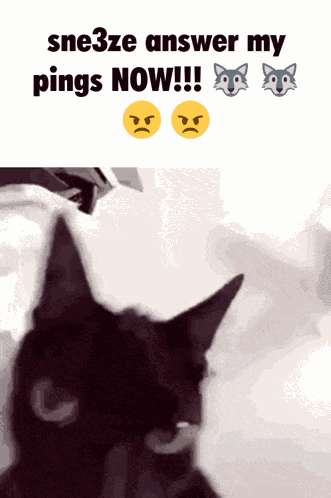 Sne3ze Blood Debt GIF