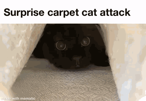 Sneak Attack Surprise GIF