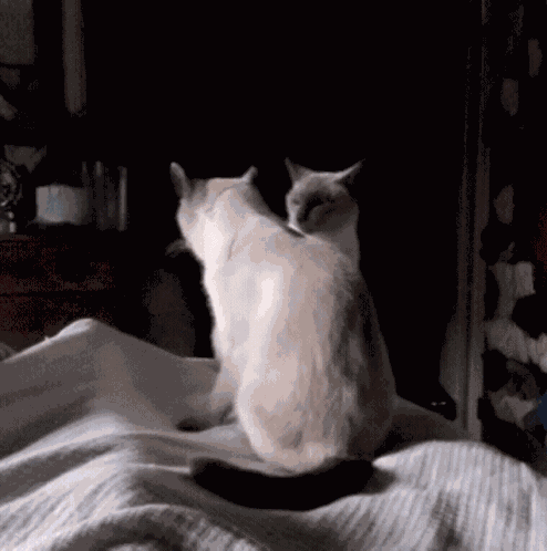 Sneak Attack GIF