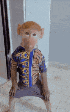 Sniffer Monkey GIF