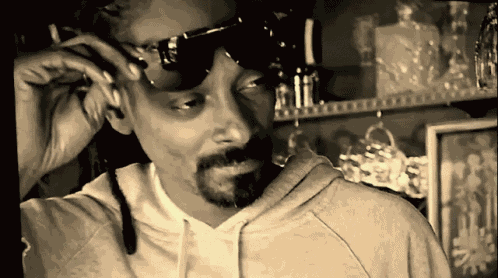 Snoop Dealwithit GIF