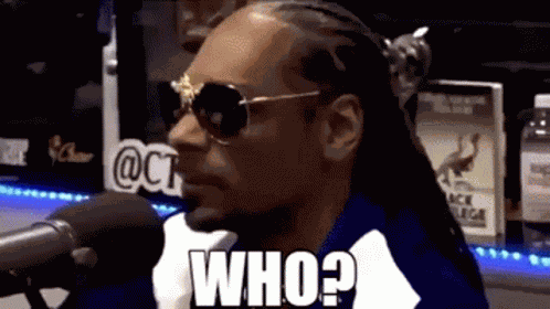 Snoop Dog Who GIF