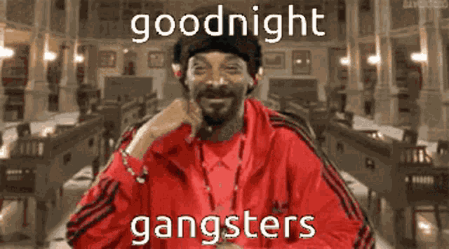 Snoop Dogg Snoop GIF