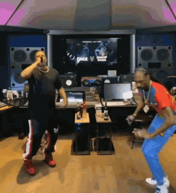 Snoop Dogg Vitorinhacosta GIF