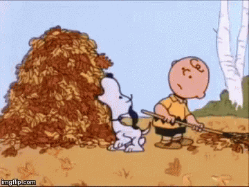 Snoopy Charlie Brown GIF