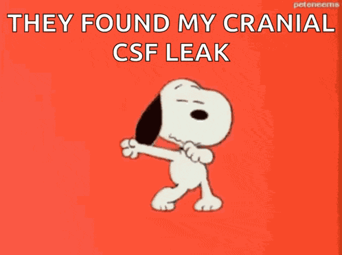 Snoopy Happy Dance Gif GIF