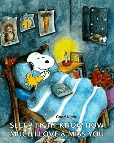 Snoopy In Bed Meme