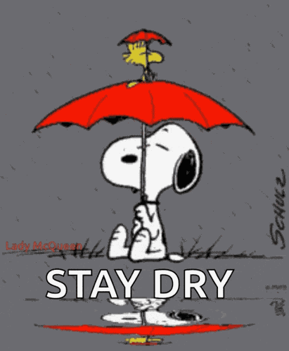Snoopy Raining GIF
