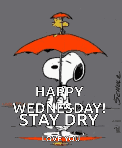 Snoopy Raining GIF
