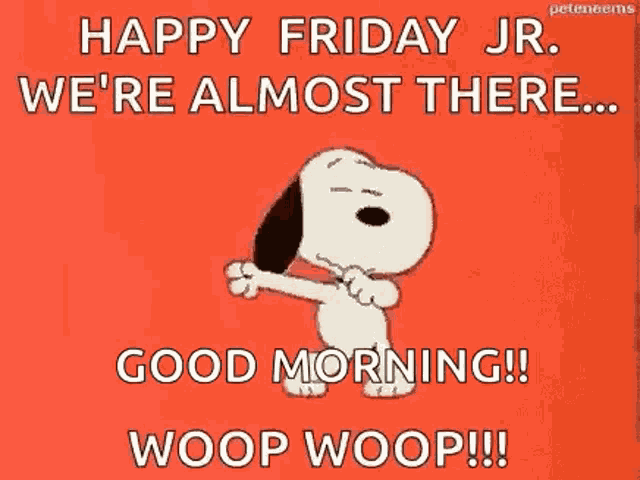 Snoopy Were Almost There GIF