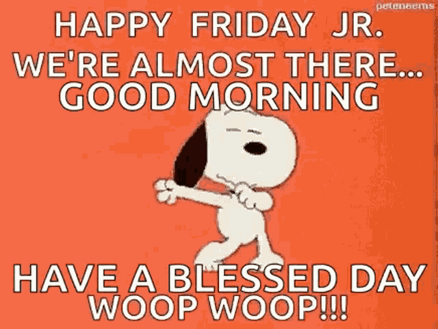 Snoopy Were Almost There GIF