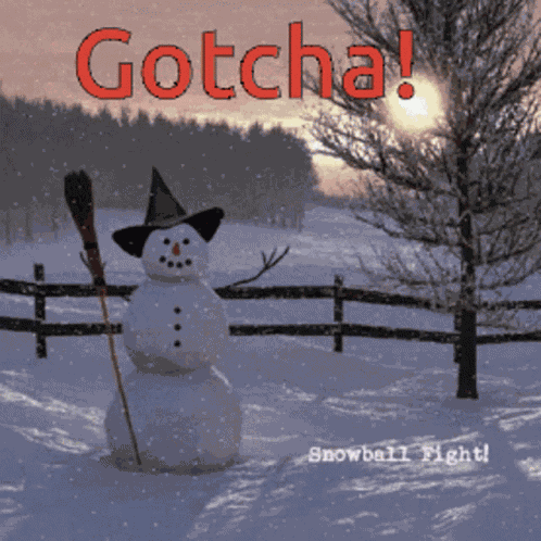 Snow Ball Fight Snow GIF