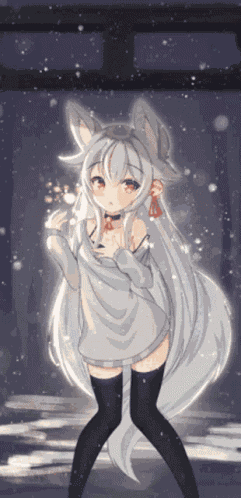 Snow Cat GIF