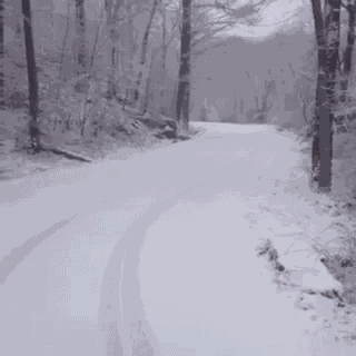 Snow Run GIF