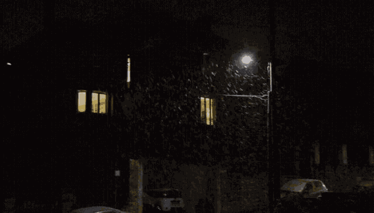 Snow Snowing GIF
