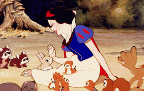 Snow White Animals Snow White GIF