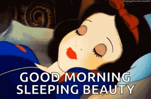 Snow White Disney GIF