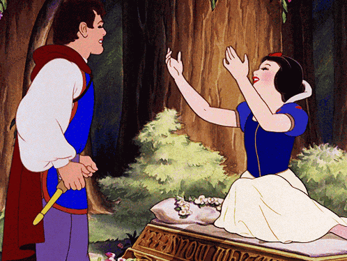 Snow White Prince GIF
