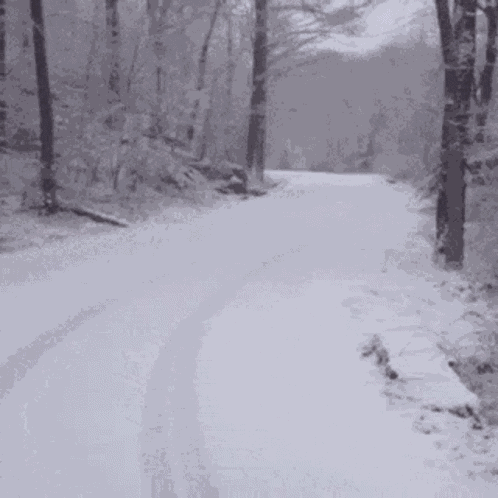 Snow Winter GIF