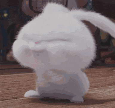 Snowball Bunny GIF