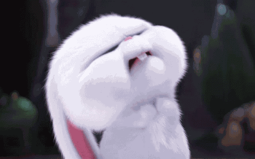 Snowball Bunny GIF