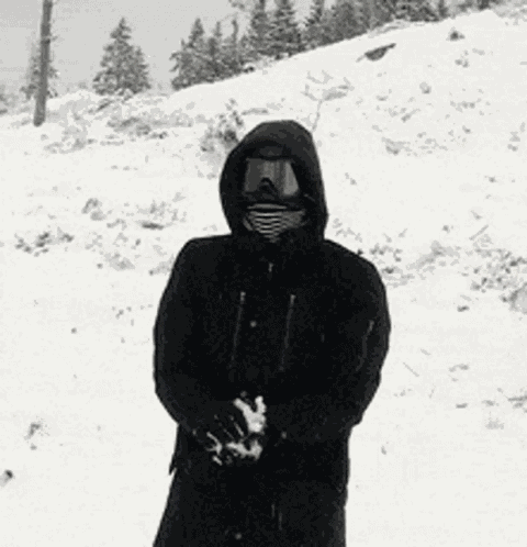 Snowball Throw GIF